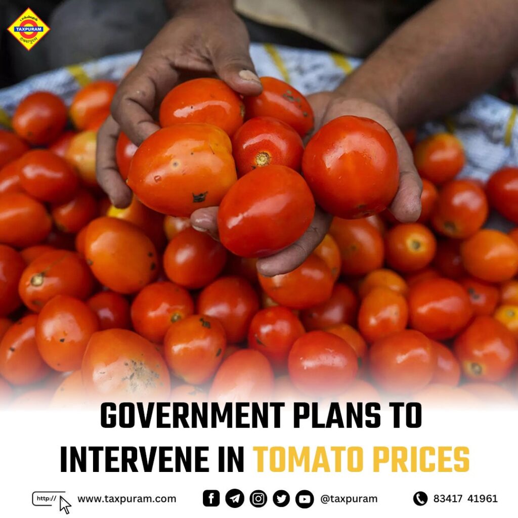 Government plans to intervene in Tomato Prices-Taxpuram